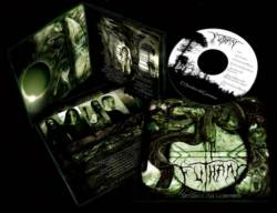 Sendero del Guerrero